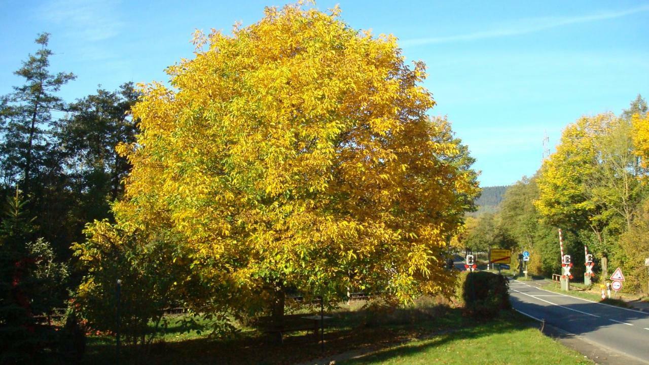 Haus Am Teutoburgerwald Leilighet Sandebeck Eksteriør bilde